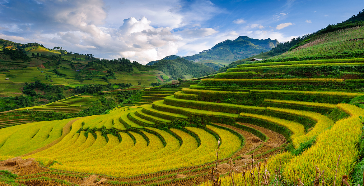 Sapa Cycling Tour With Homestay